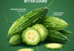 Benefits of Bitter Gourd