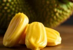 Benefits of Jackfruit in hindi