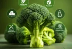 Benefits of broccoli in Hindi