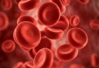 Blood Platelets