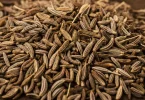 Cumin (Jeera Zeera in Hindi)