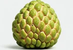 Custard Apple Benefits