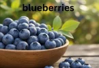 Health Benefits of Blueberries