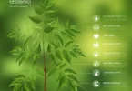 benefits of Neem tree in Hindi