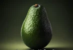 Avocado Health Benefits and Nutritional Value You Should Know