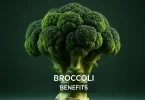 Broccoli Benefits Nutrition Facts & Powerful Health Benefits