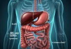 IBS and GERD