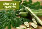 Moringa Benefits