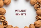 Walnut Benefits 10 Health Advantages & Nutrition Facts