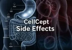 CellCept Side Effects
