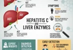 Hepatitis C and Liver Enzymes