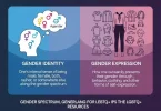 Gender identity vs gender expression