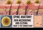 Skin microbiome and atopic dermatitis