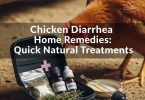 chicken diarrhea home remedy