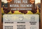 fowl pox natural treatment