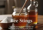 home remedy for bee sting