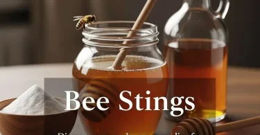 home remedy for bee sting