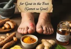 Gout in the Foot