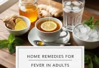 home remedies for fever in adults
