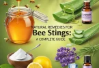 natural remedies for bee stings