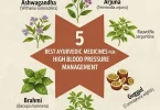 best ayurvedic medicine for high blood pressure