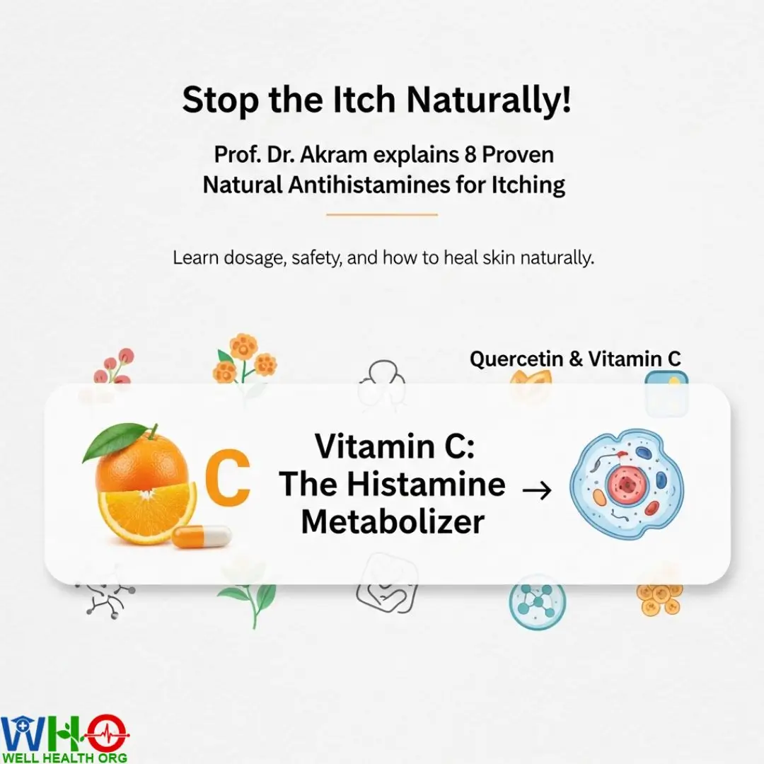 8 Best Natural Antihistamines for Itching: Dr. Akram’s Clinical Guide 5 Natural Antihistamine for Itching (2)