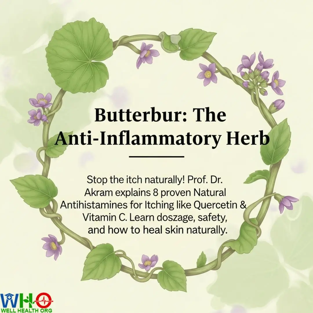 8 Best Natural Antihistamines for Itching: Dr. Akram’s Clinical Guide 7 Natural Antihistamine for Itching (4)