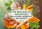 strongest natural antibiotic