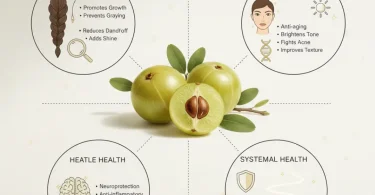 Amla Powder Benefits