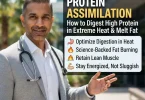 Summer Protein Assimilation
